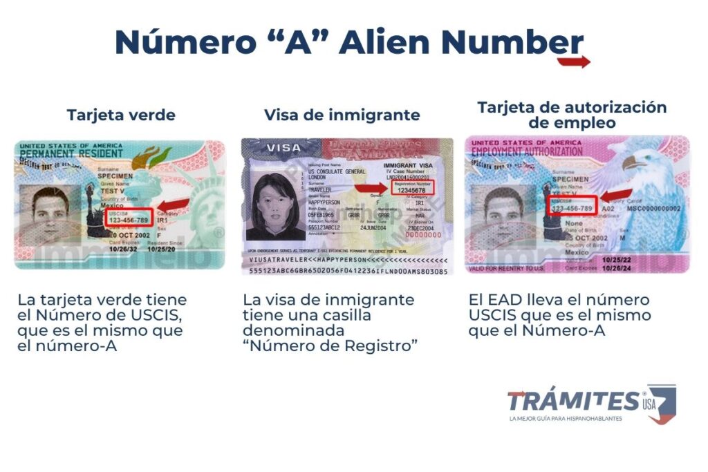 Ejemplos de dónde encontrar el Alien Number.